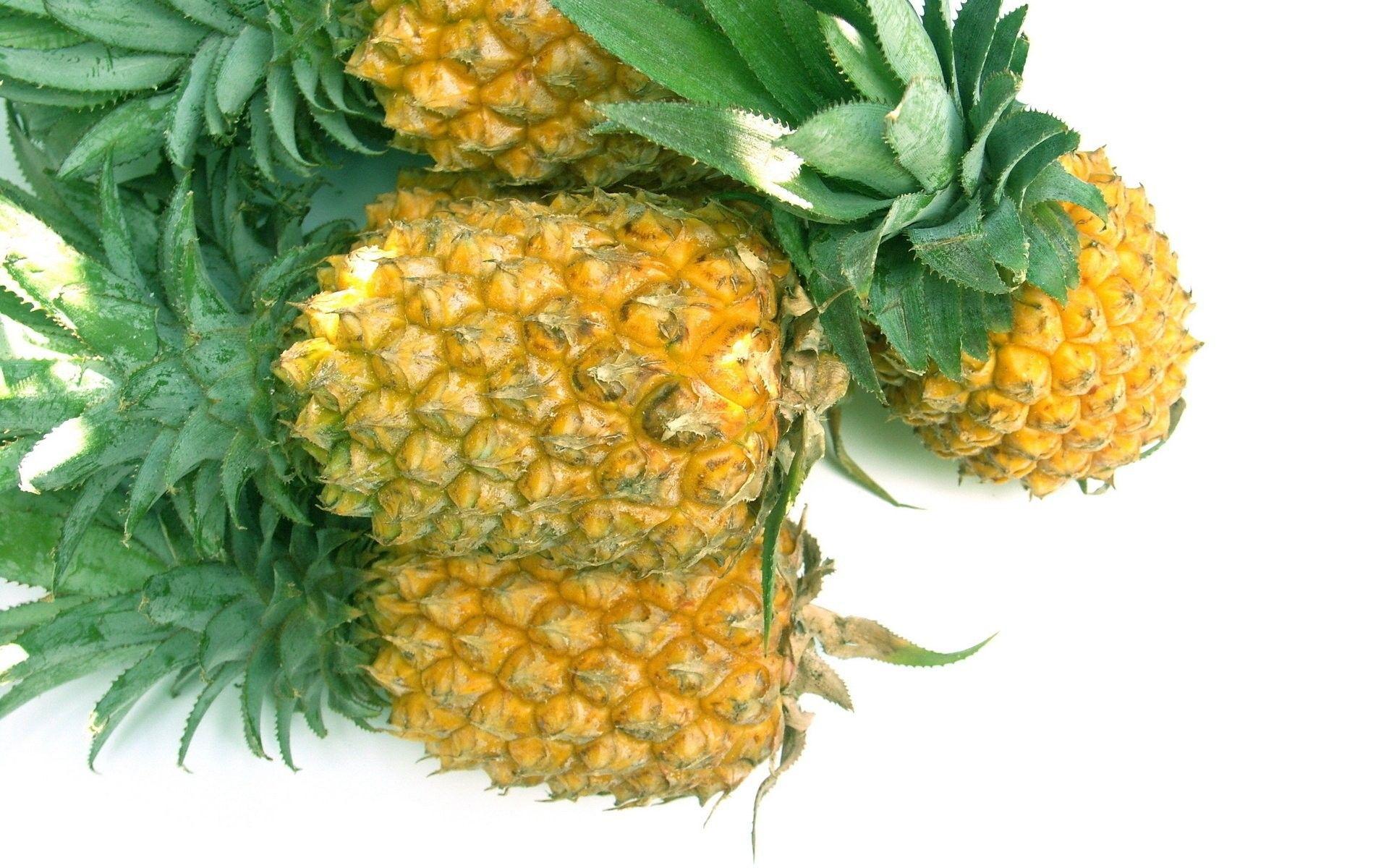 1920x1200 Pineapple wallpaperDownload free cool HD wallpaper
