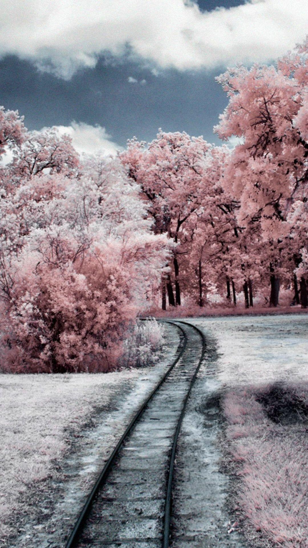 1080x1920 Nature Winter Through Pink Woods Hình nền iPhone 8 Miễn phí
