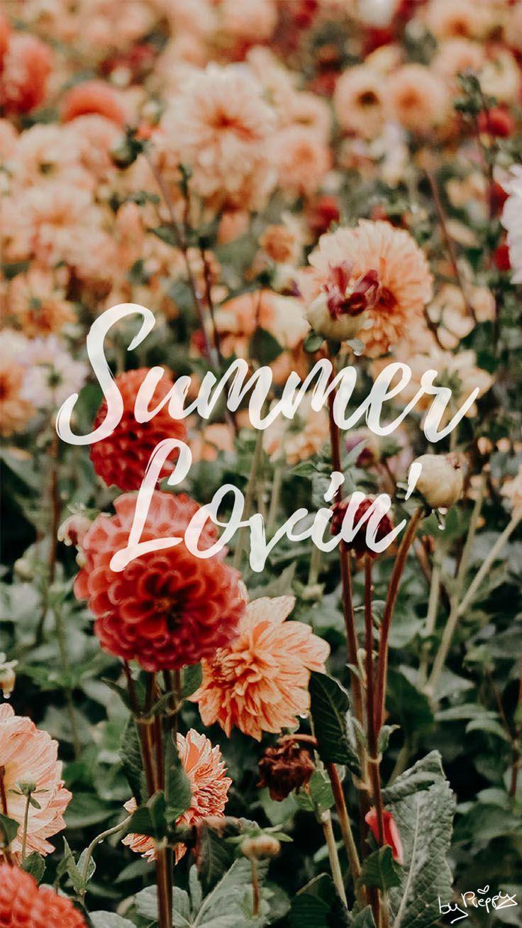 Summer Floral iPhone Wallpapers Top Free Summer Floral iPhone