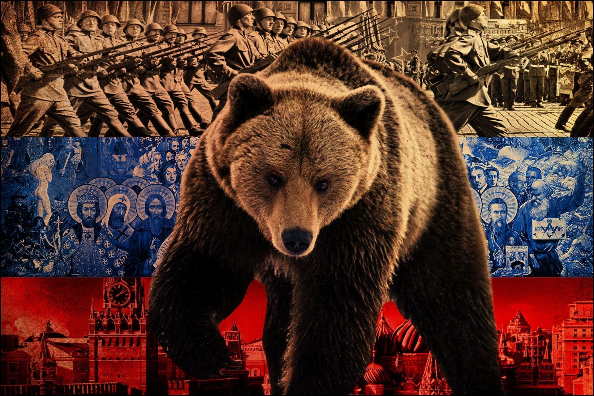 1920x1280 Download wallpaper 1920x1280 bear