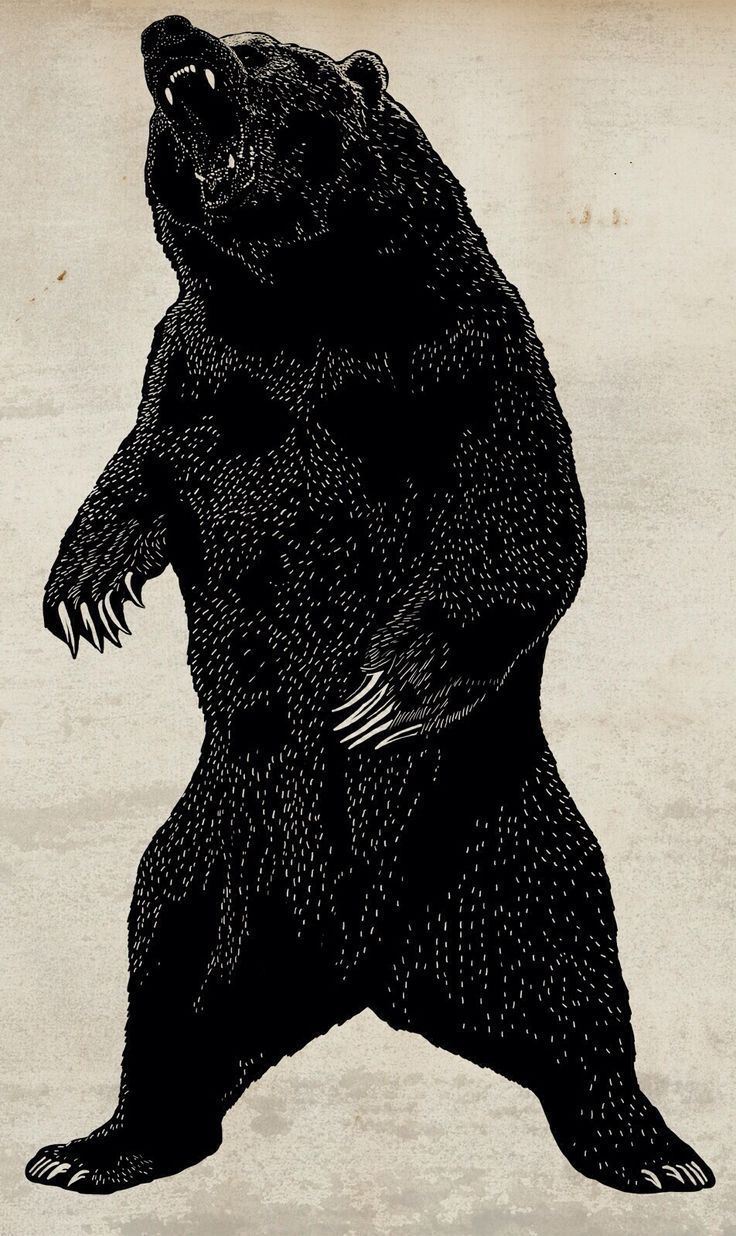736x1236 Wallpaper, Phone wallpaper. Phone