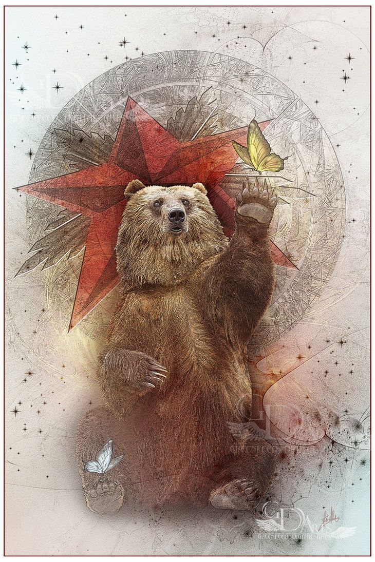 730x1095 Bear artwork, Bear, Bear art