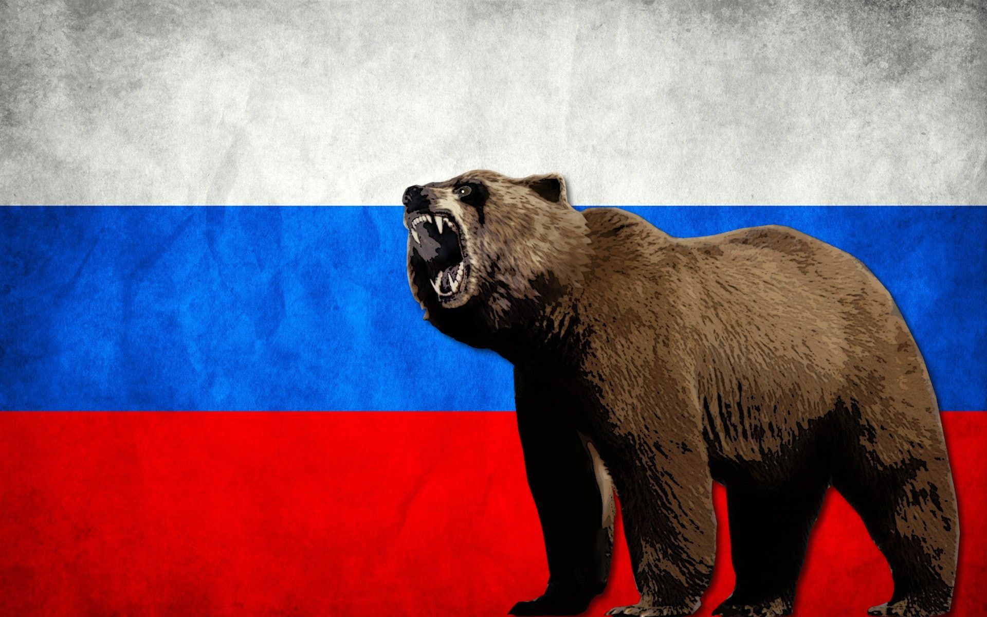 1920x1200 bears #flag #Russia #Russian P