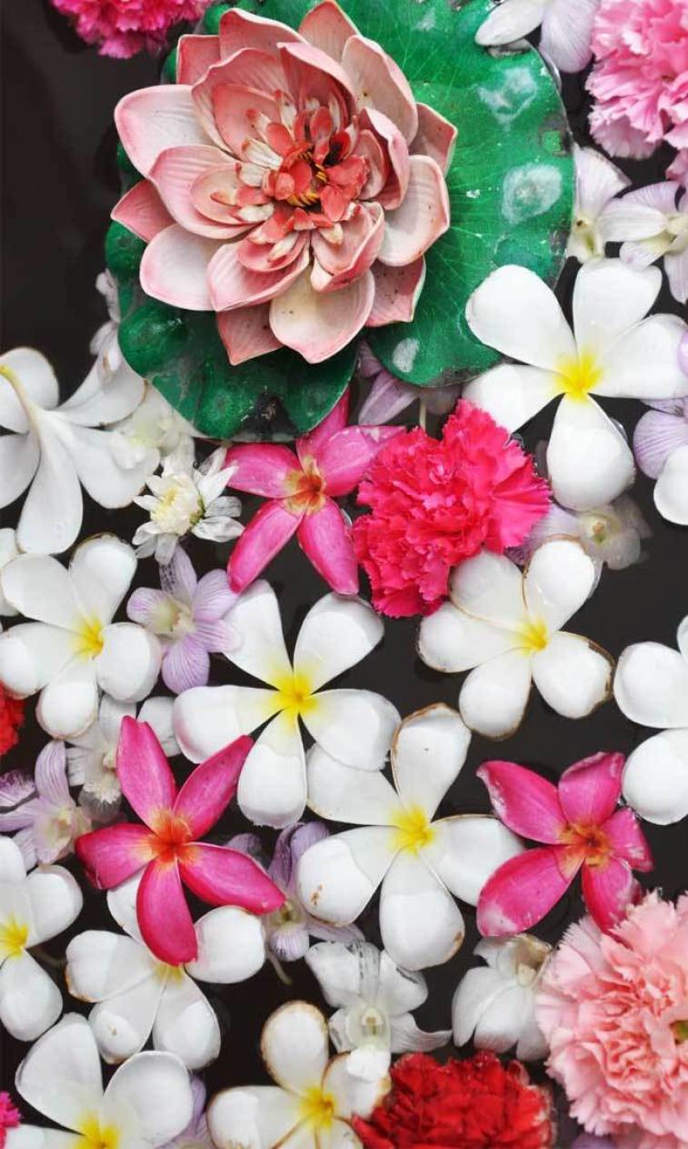 757x1263 Celebrate Summer With These Pretty Flowers Wallpaper