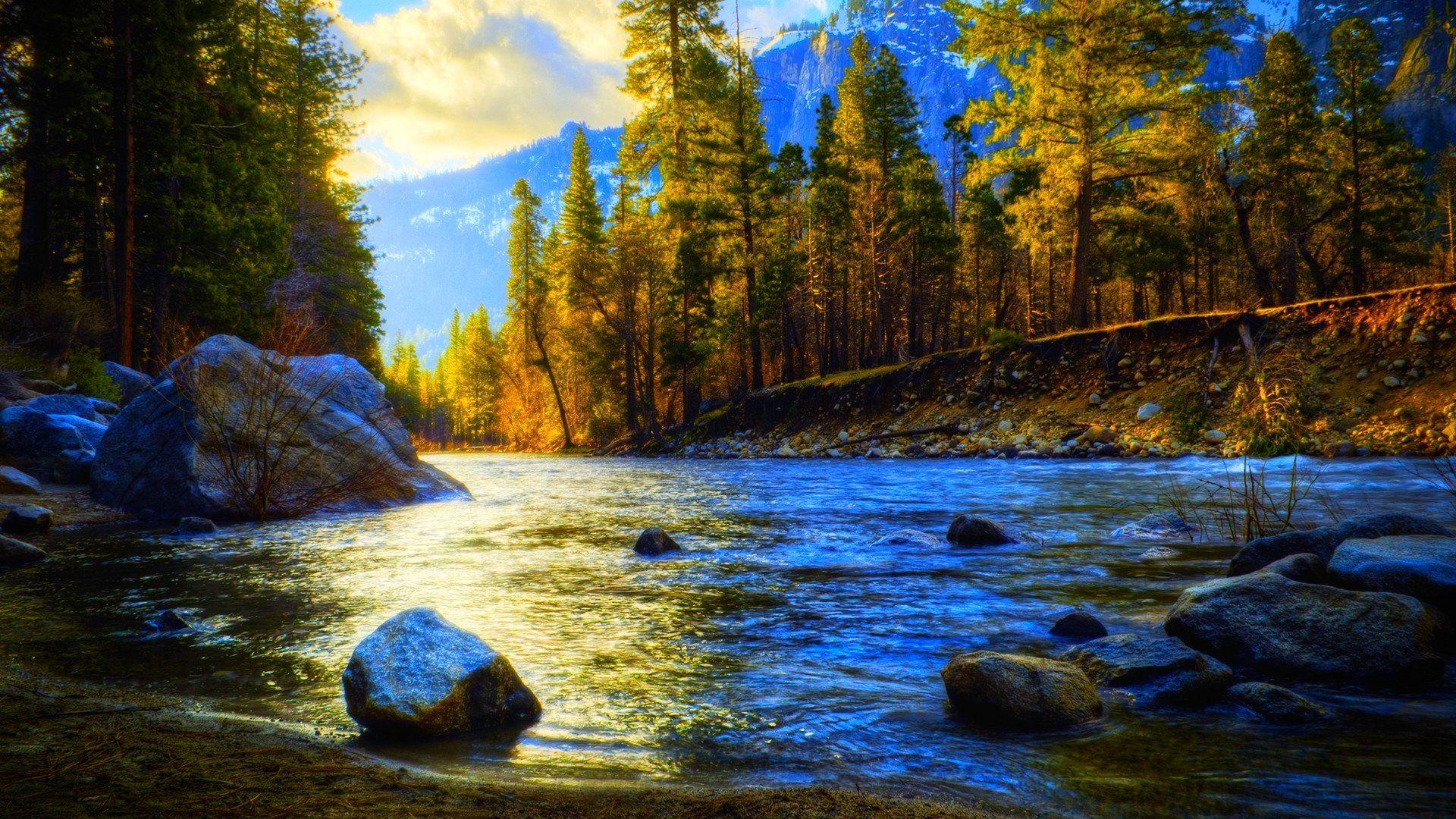 Green trees beside river during daytime photo  Free Water Image on Unsplash