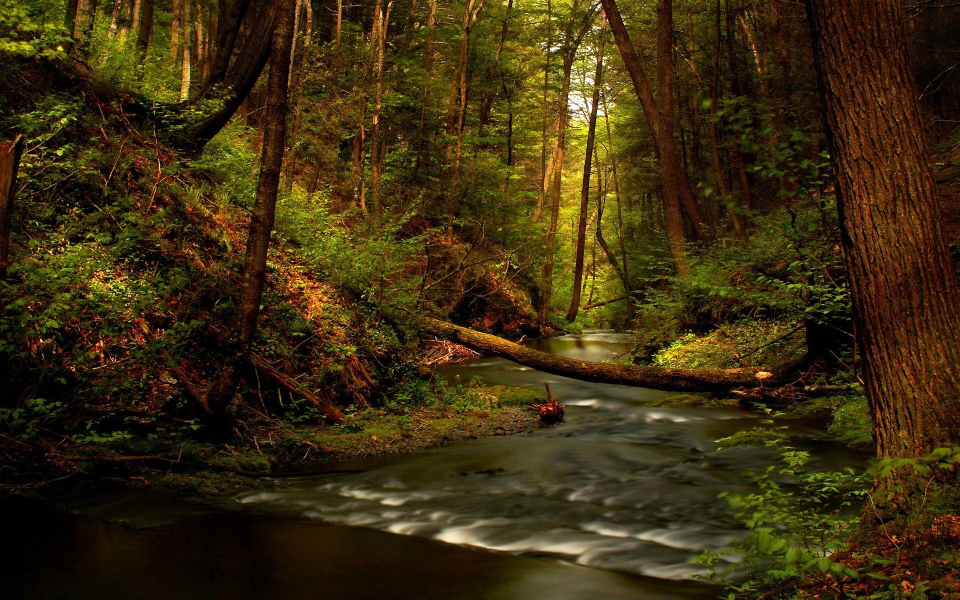 Creek Wallpaper Beautiful Hd Desktop Wallpapers K Hd Images