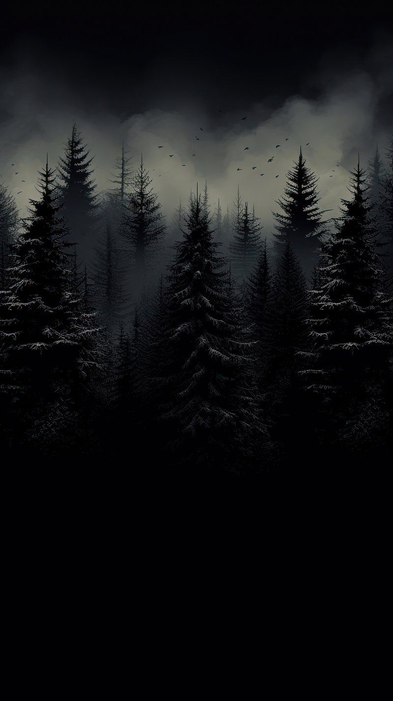 Black 4k Mobile Wallpapers - Top Free Black 4k Mobile Backgrounds