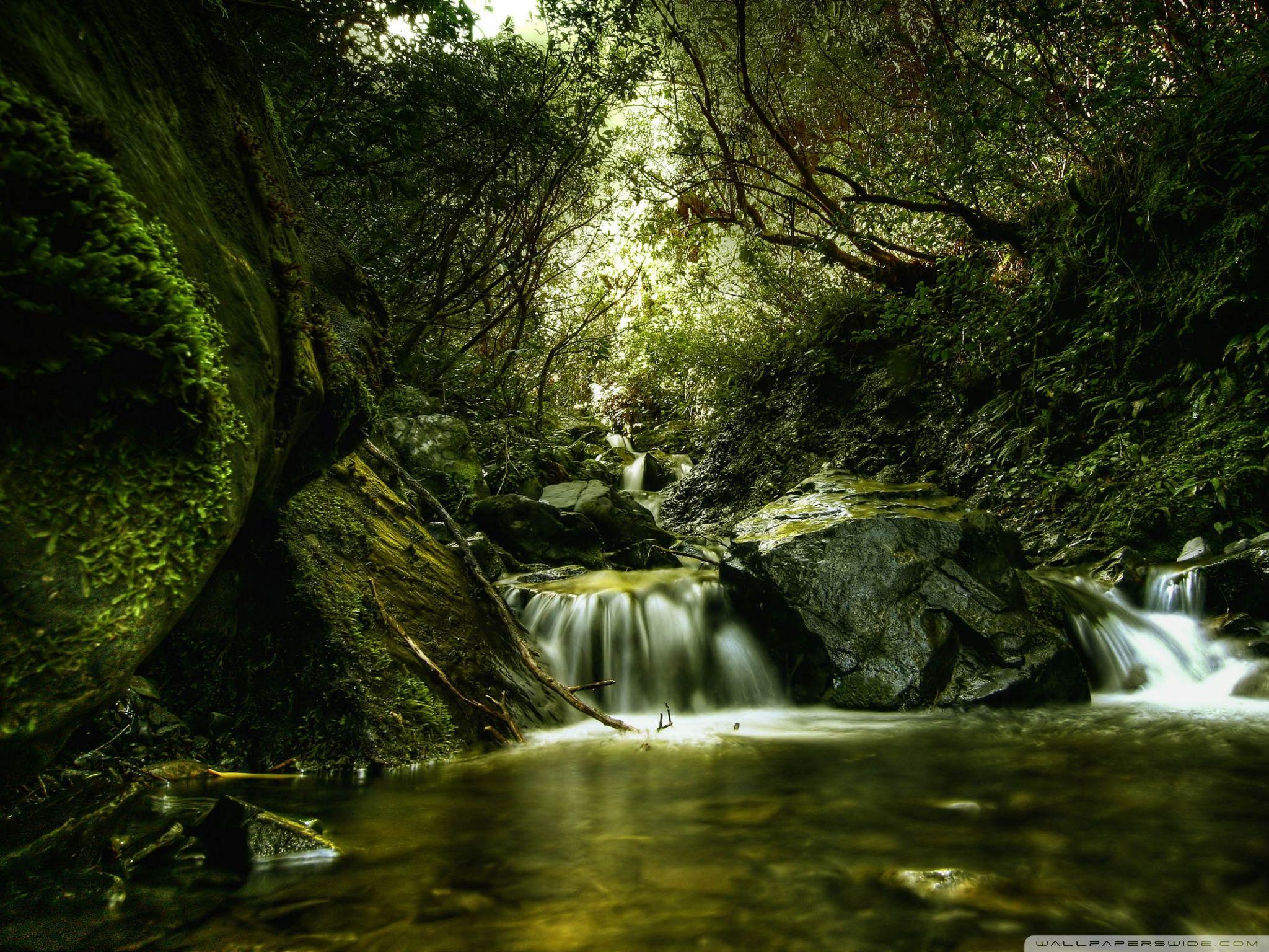 Creek Wallpapers - Top Free Creek Backgrounds - Wallpaperaccess