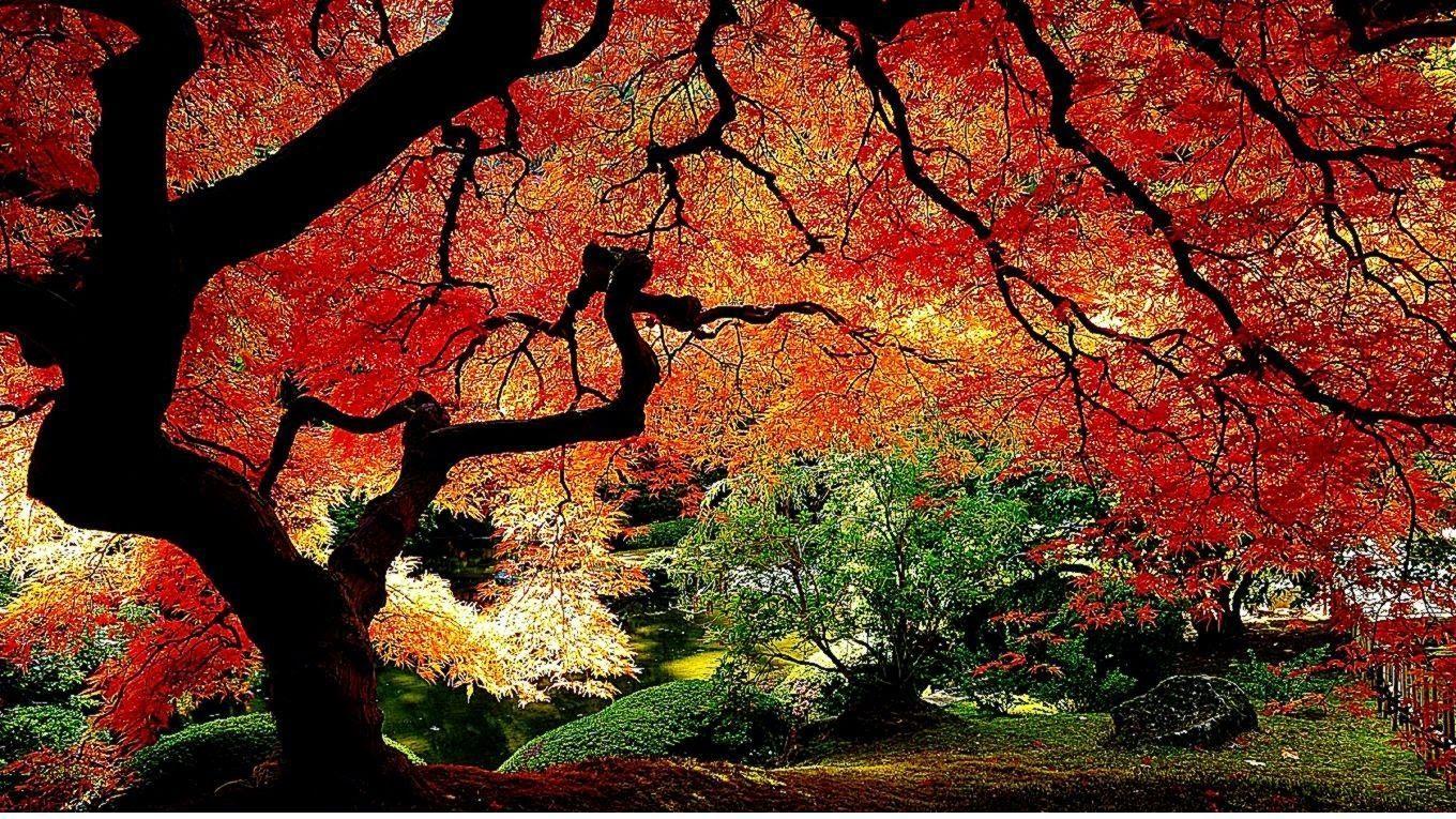 1360x765 Hello Autumn, September fall image, wallpaper hd