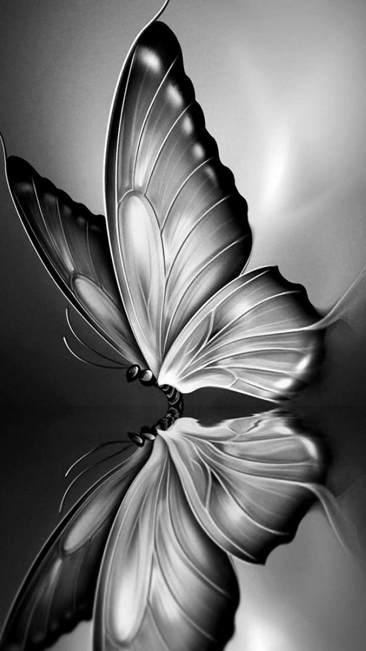 720x1280 Butterfly painting, Butterfly wallpaper