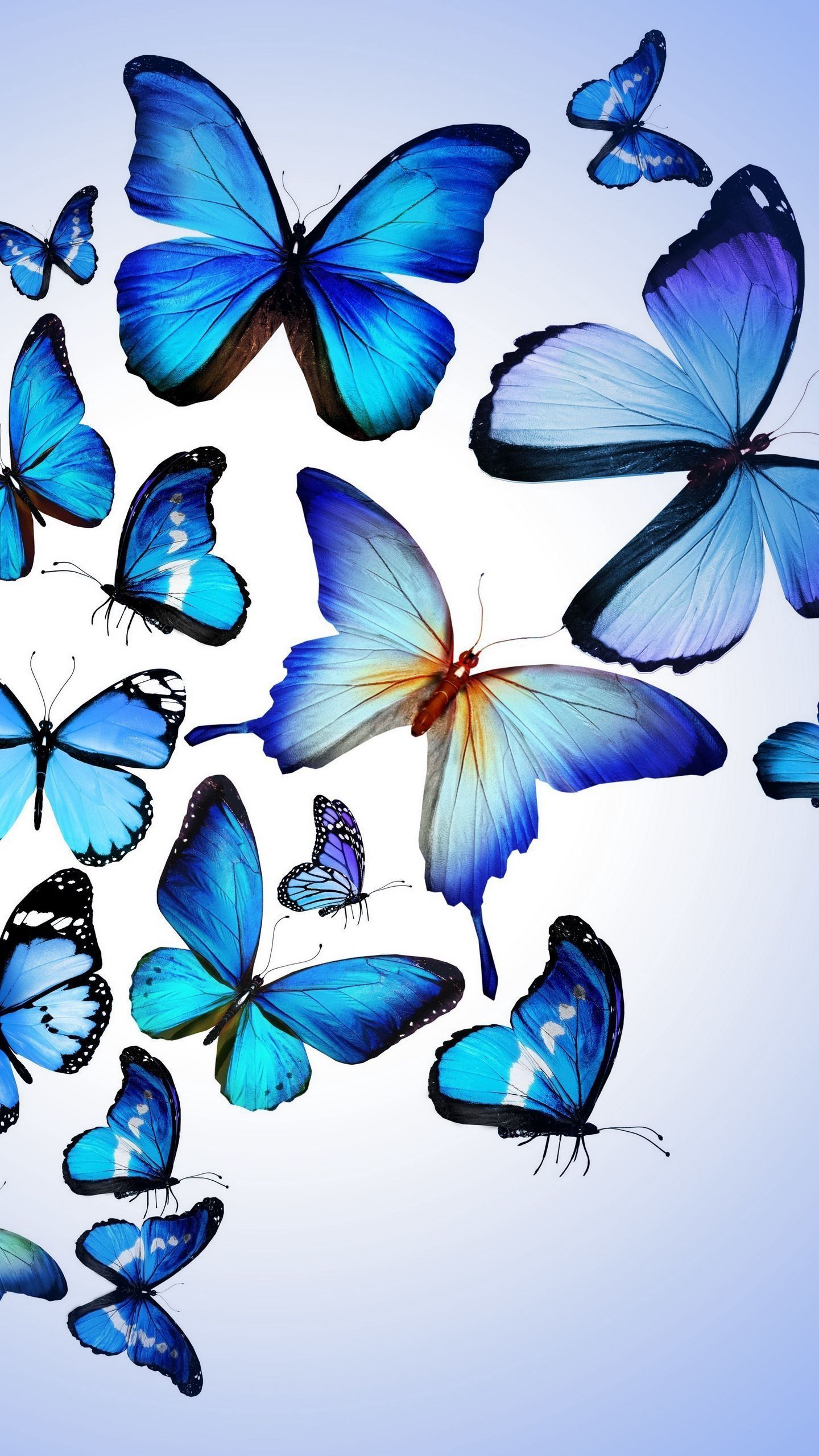 1440x2560 Blue Butterfly Drawing Wallpaper