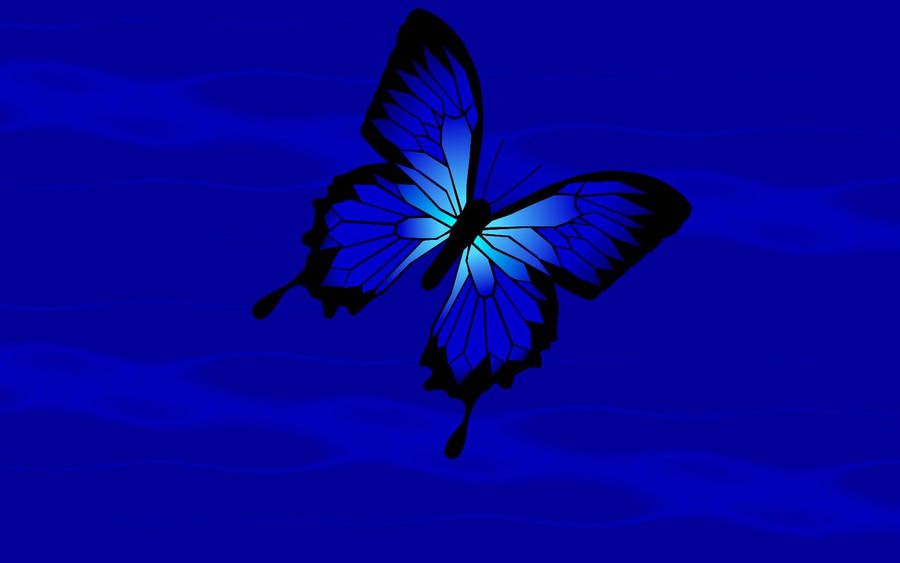 900x563 Blue Butterfly Aesthetic Wallpaper