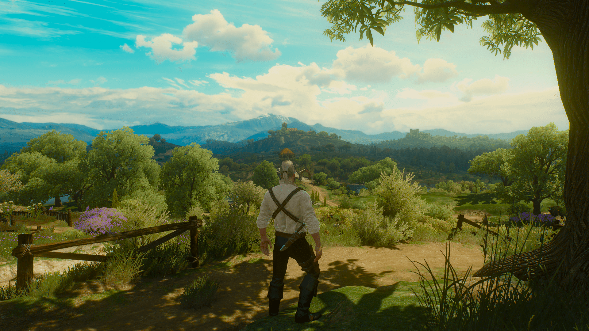 1920x1080 The Witcher 3 Blood And Wine Chill lookin