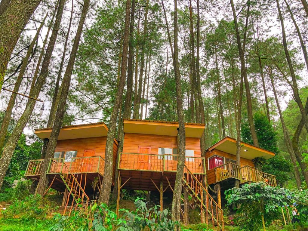 1024x768 Kampung Rimba by Anrha Hotel Puncak