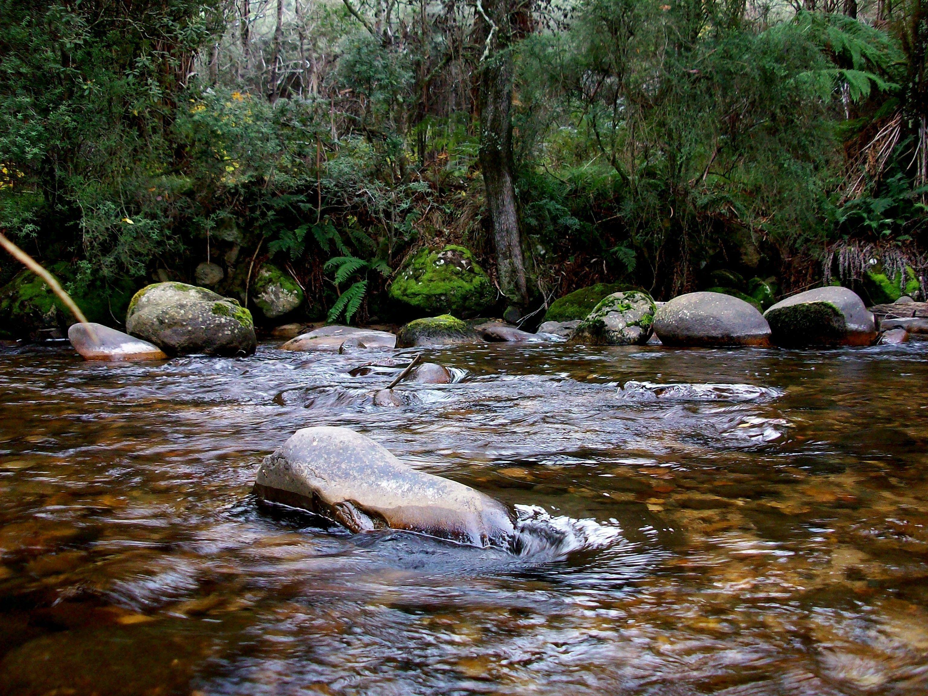 Creek Wallpapers - Top Free Creek Backgrounds - WallpaperAccess