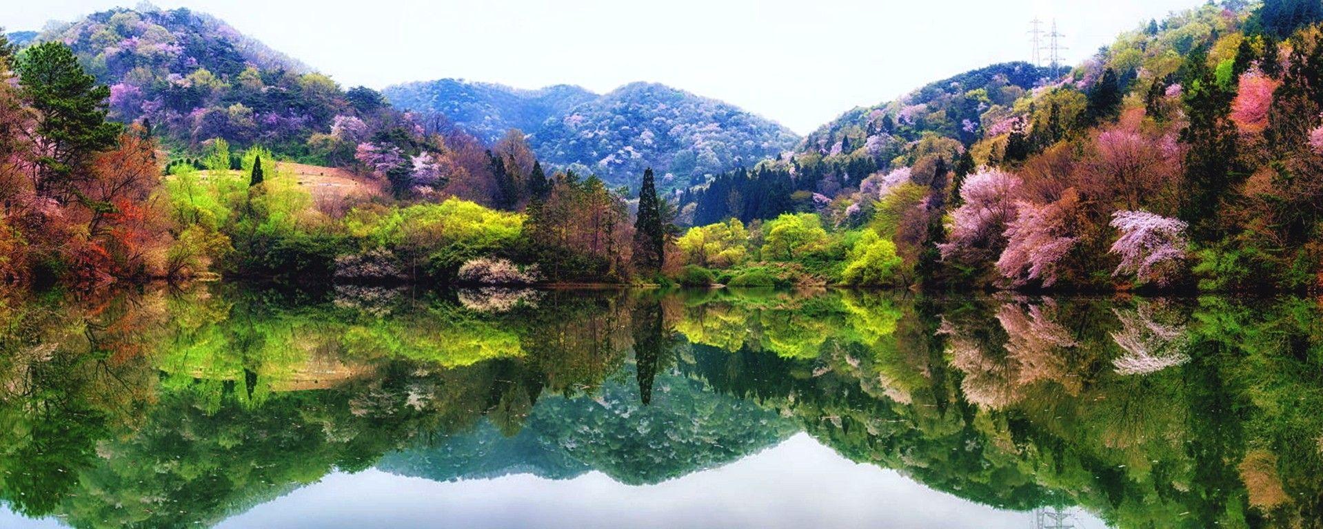 1919x768 Lakes: Seryang Je Lake South Korea Hills Blue Pink Trees Red Forest