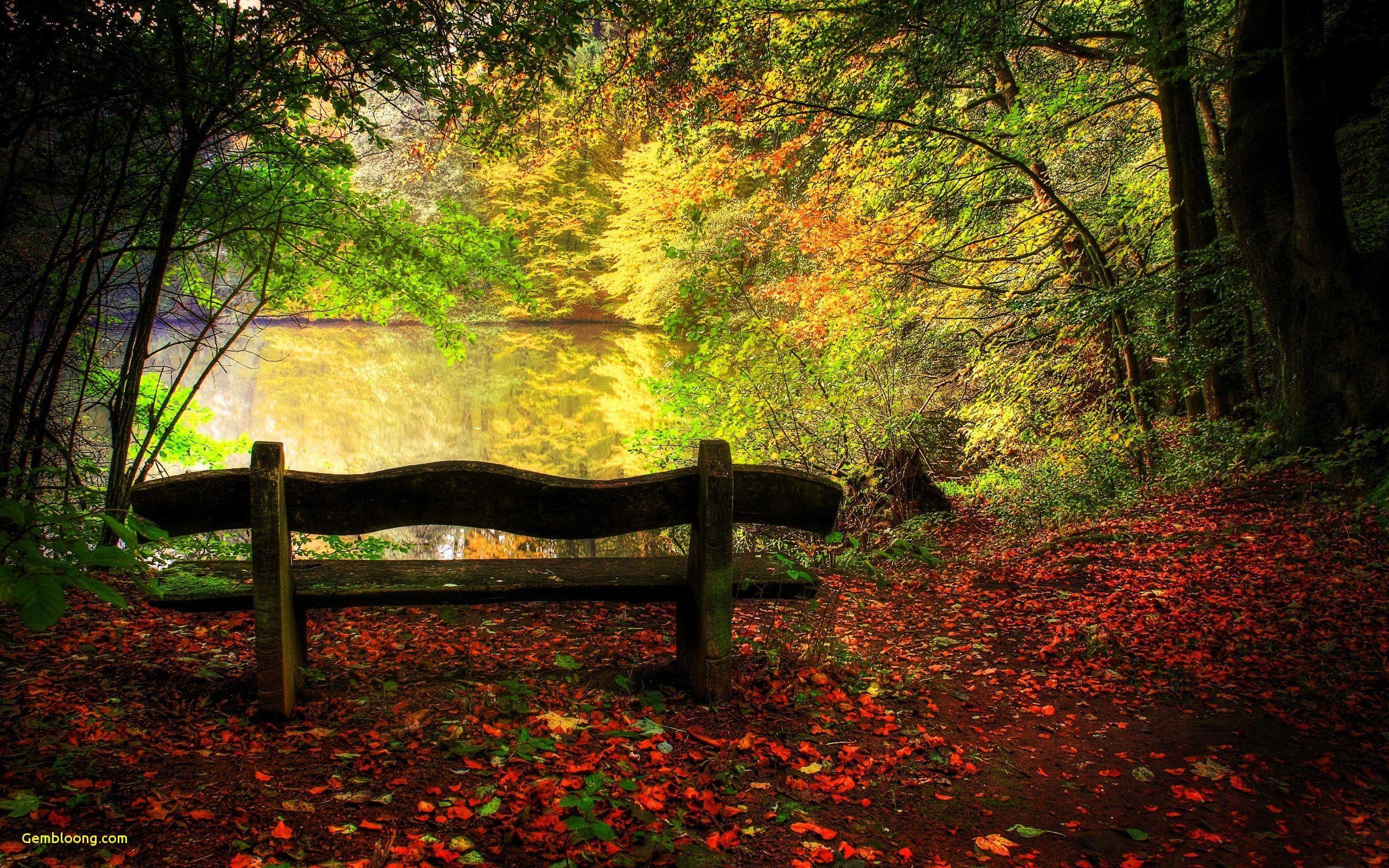 Early Fall Wallpapers Top Free Early Fall Backgrounds Wallpaperaccess