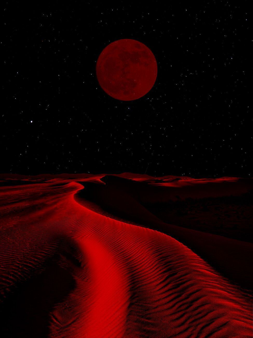 975x1300 Another planet Wall Mural. Buy online