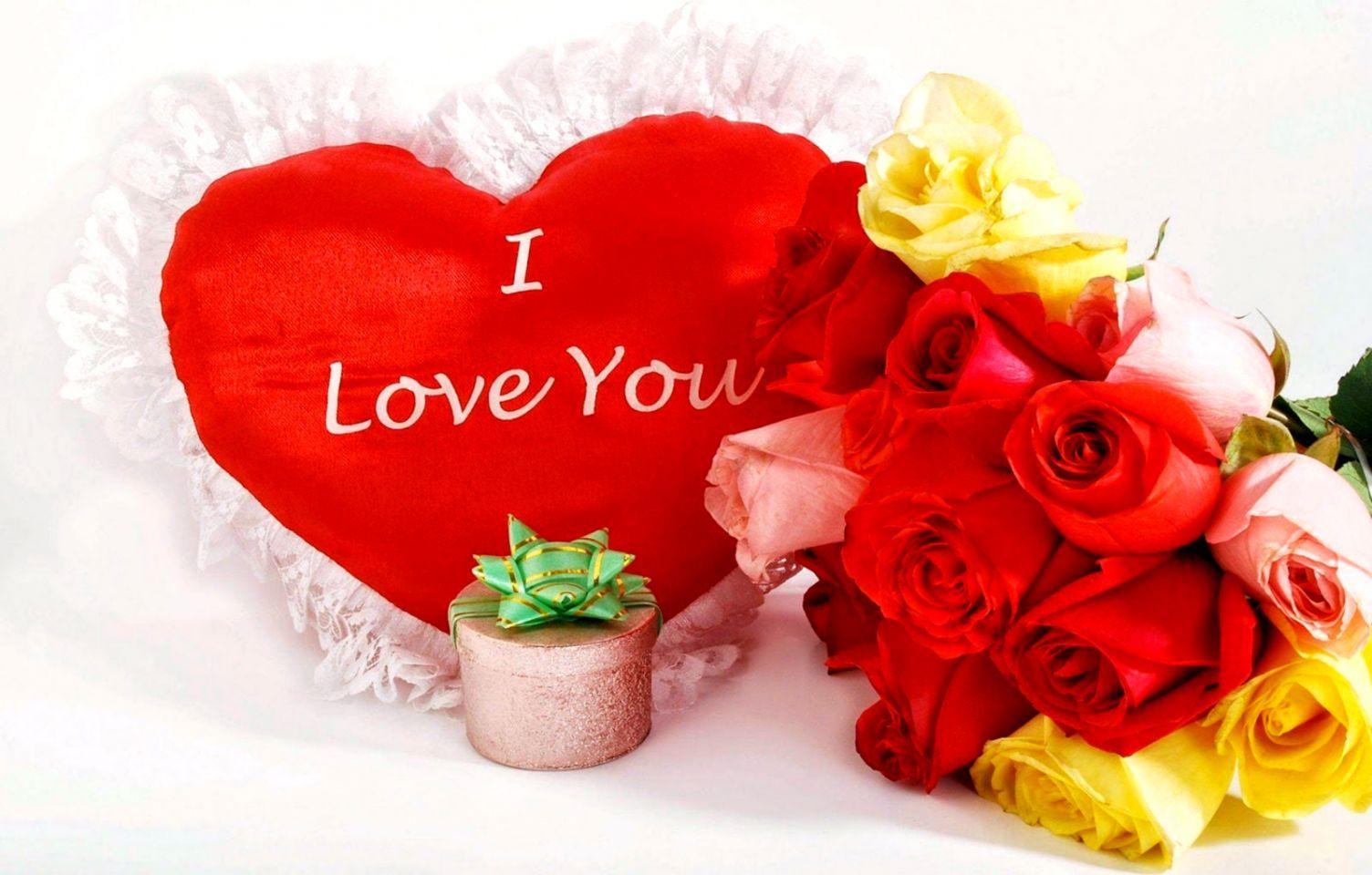 1504x960 Flowers Love Wallpaper. One plus Wallpaper