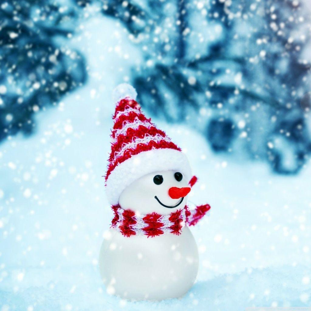 1024x1024 Cute Snowman Ultra HD Desktop Background Wallpaper for 4K UHD TV : Tablet