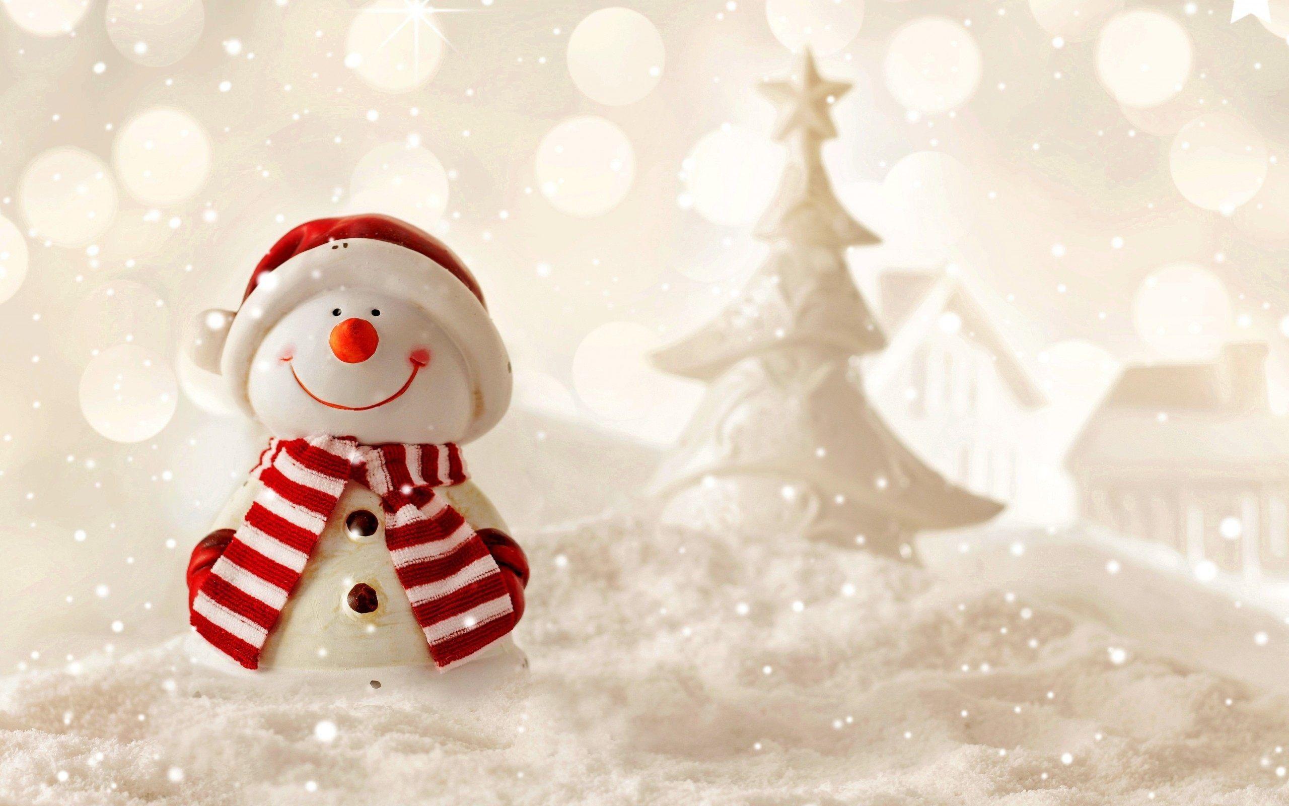2560x1600 Winter Snowman Wallpaper