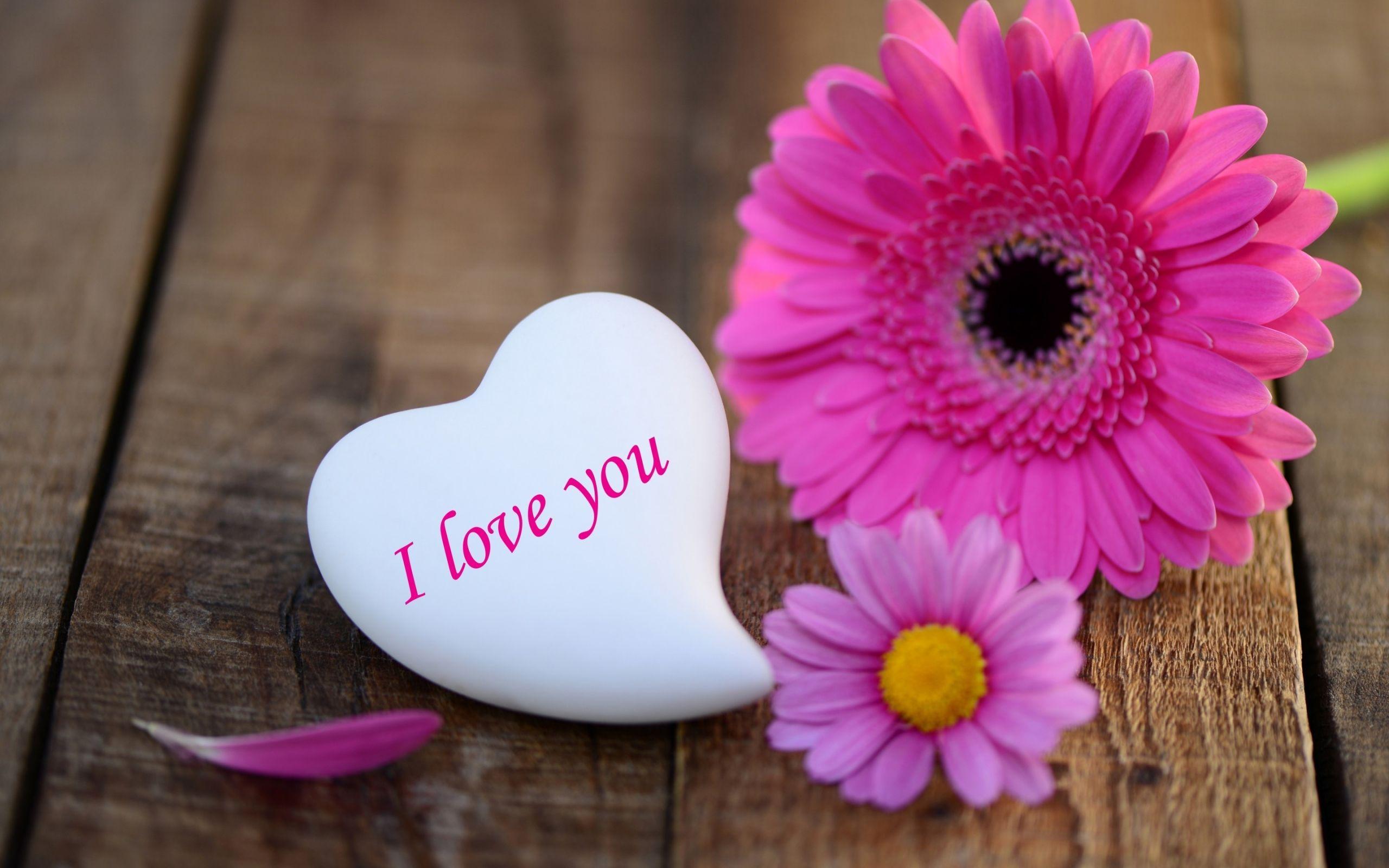 2560x1600 I Love You Wallpaper, Picture, Image