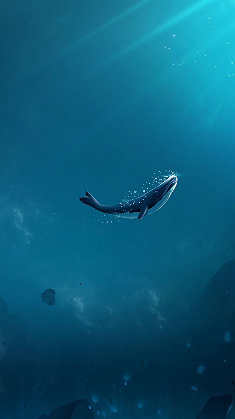750x1334 Lonely Whale iPhone iPhone 6S, iPhone 7 HD 4k