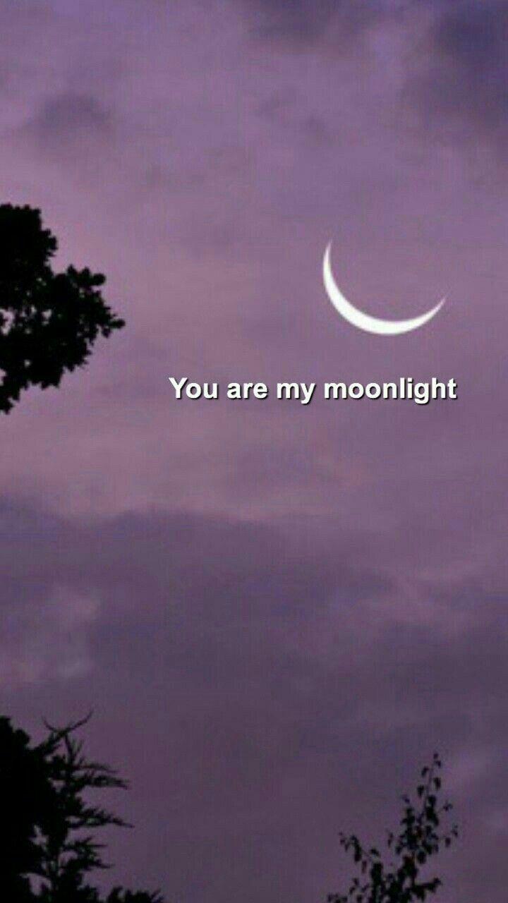 720x1280 Ariana Grande Moonlight Wallpaper at