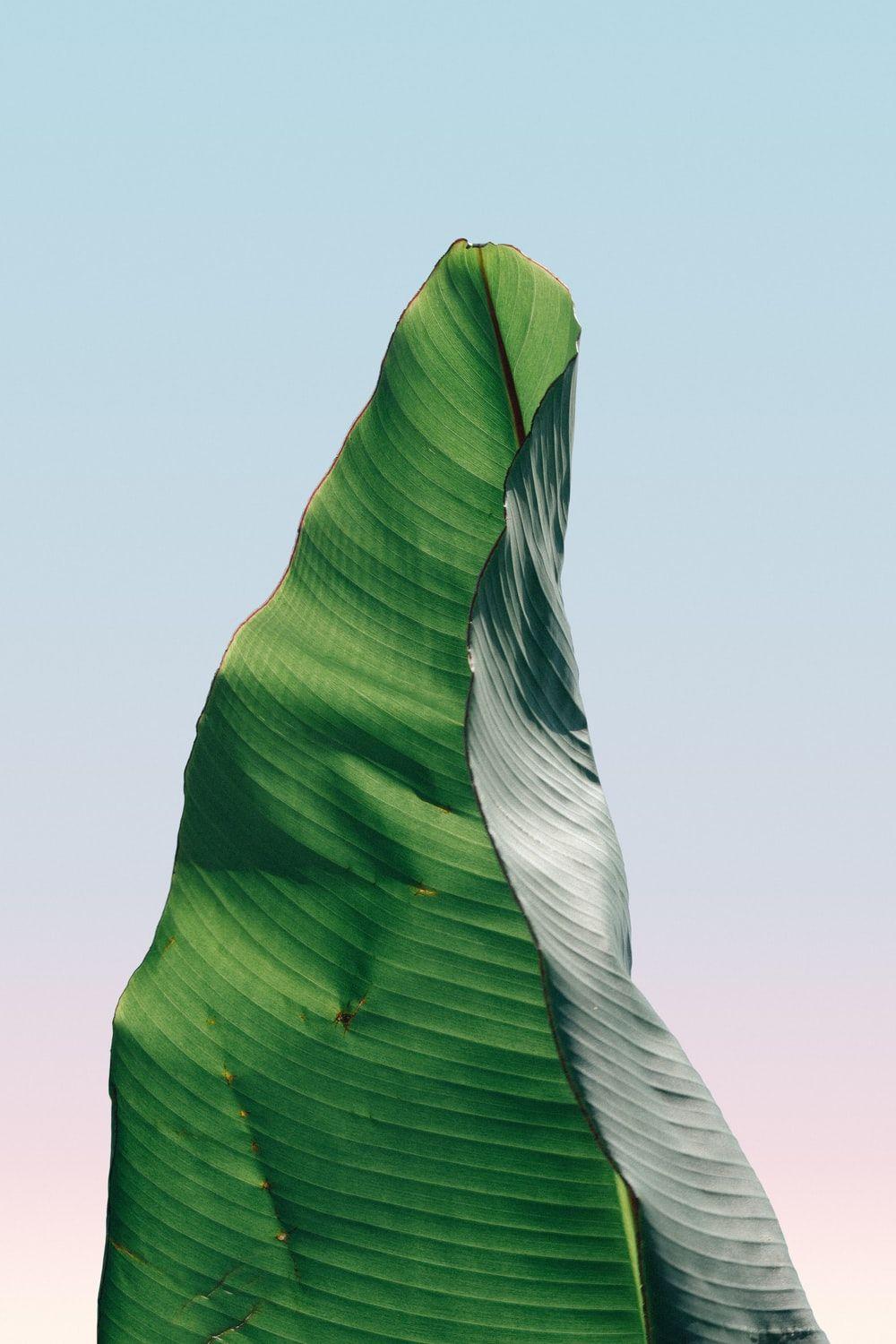 1000x1500 Hình Nền iPhone.  hình nền iphone miễn phí tốt nhất https://wallpaperaccess.com/full/1174621.jpg
