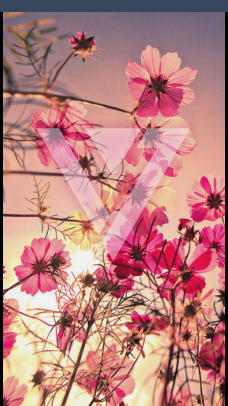 750x1334 Seventeen background. Kpop Wallpaper. Seventeen