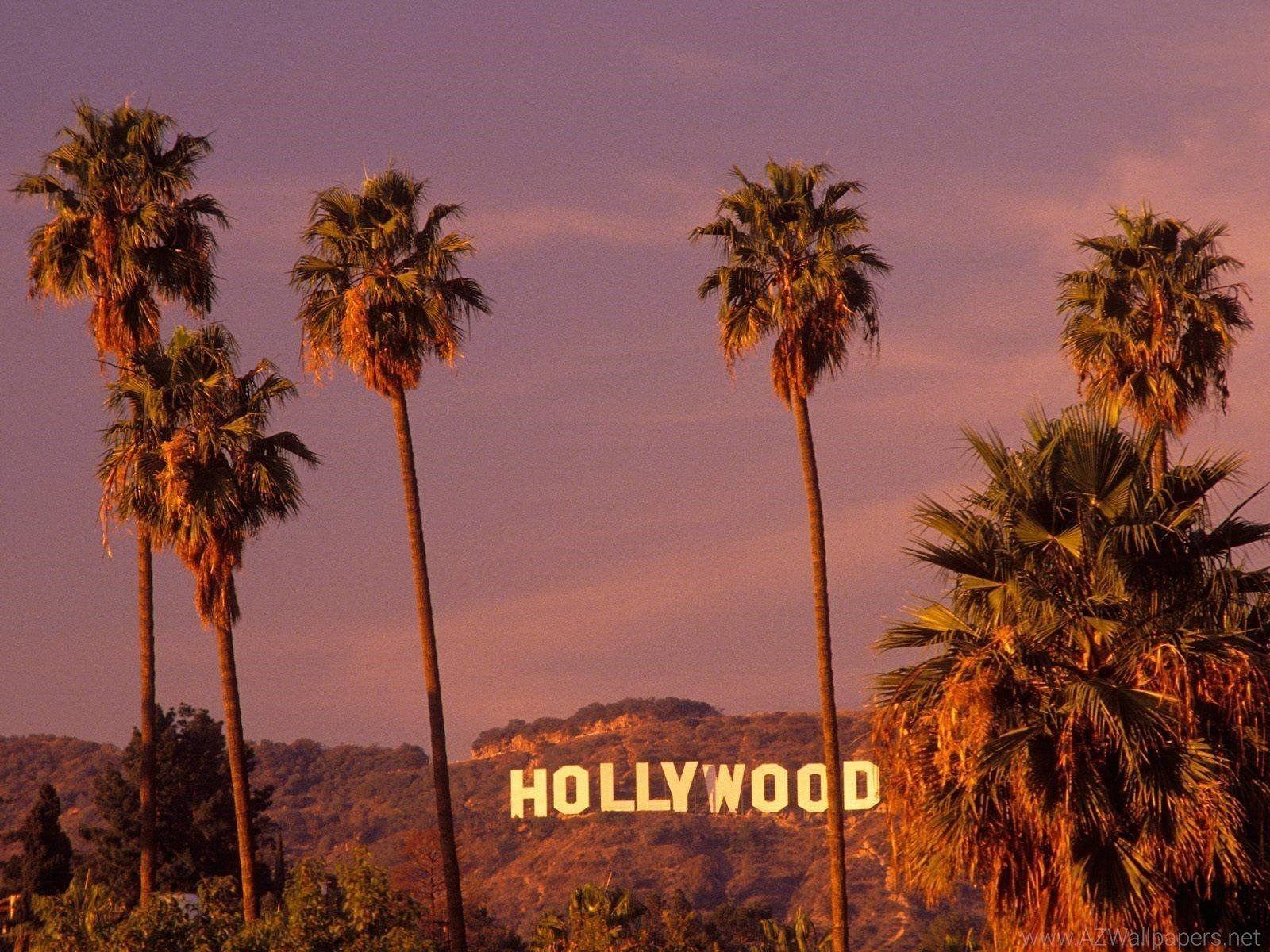 Hollywood Los Angeles Wallpapers - Top Free Hollywood Los Angeles  Backgrounds - WallpaperAccess