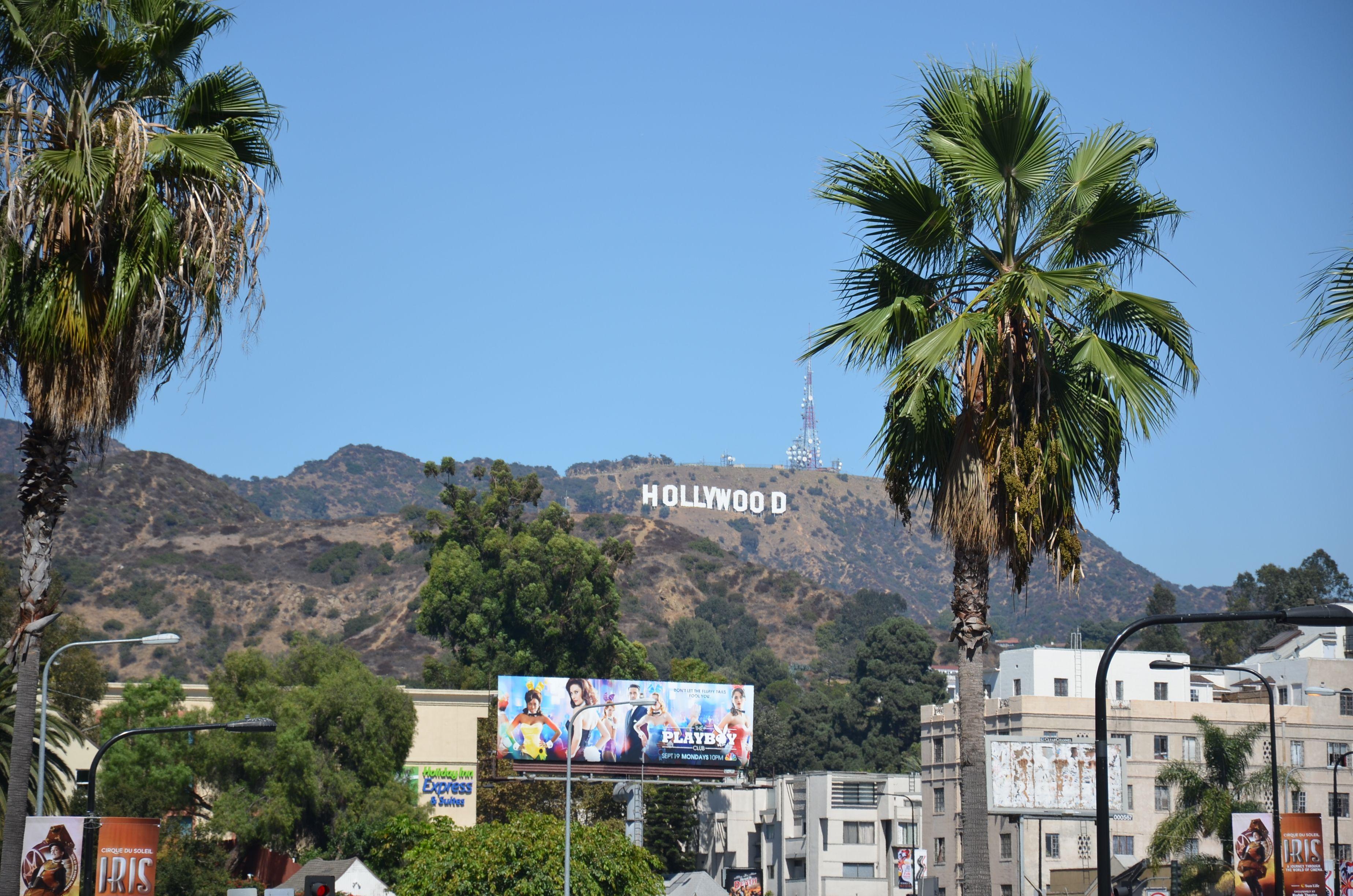 3696x2448 Hollywood Hills Wallpaper