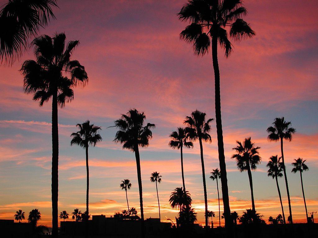 1024x768 Long Beach, California Sunset