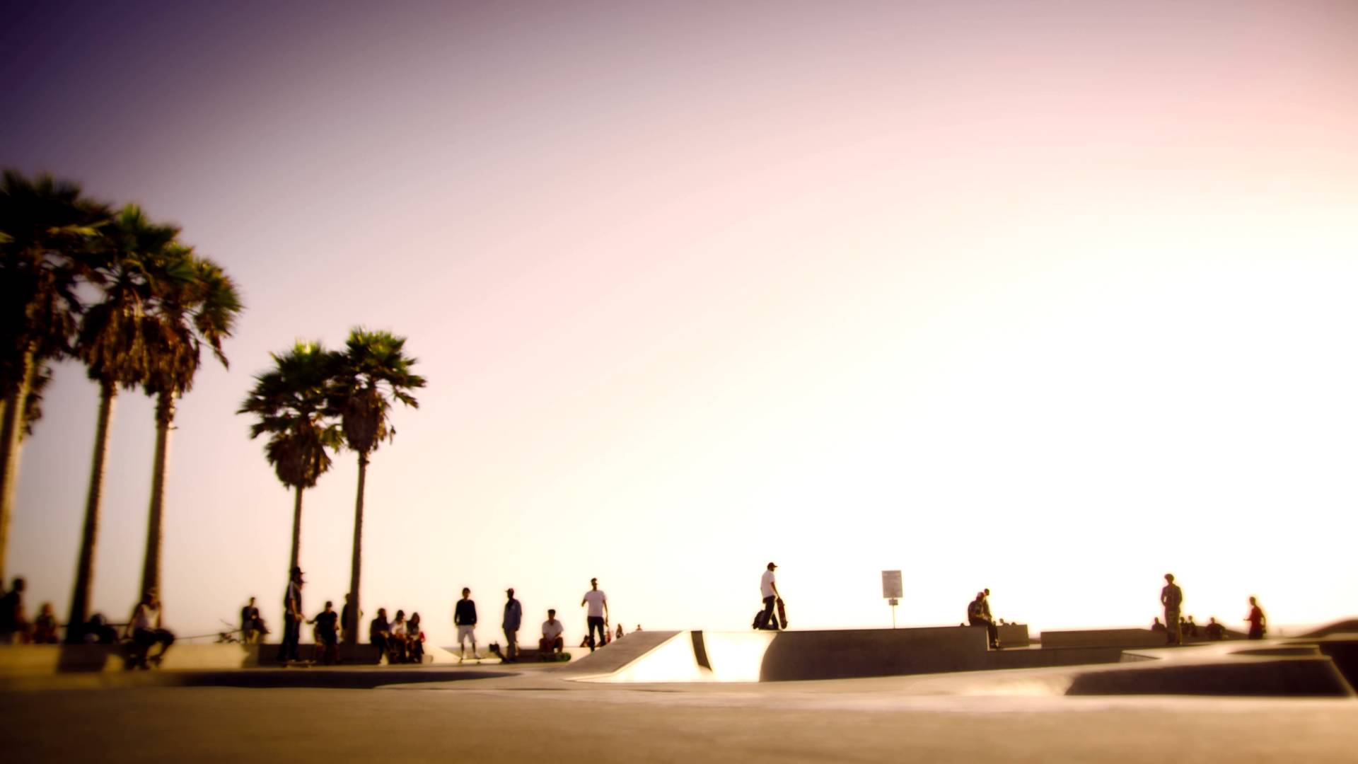 1920x1080 Venice Beach Wallpaper