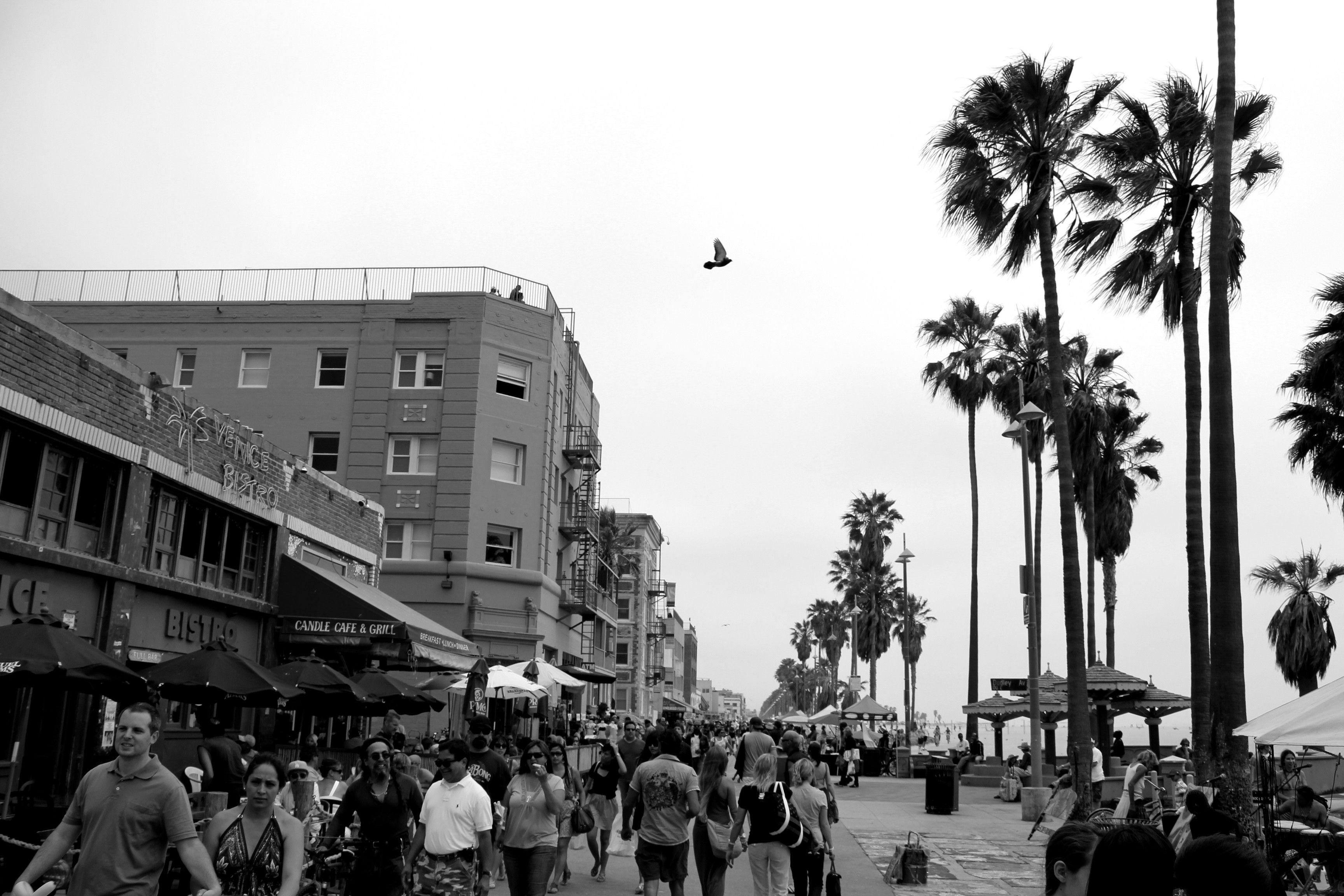3456x2304 Venice Beach HD Wallpaper. Background Imagex2304