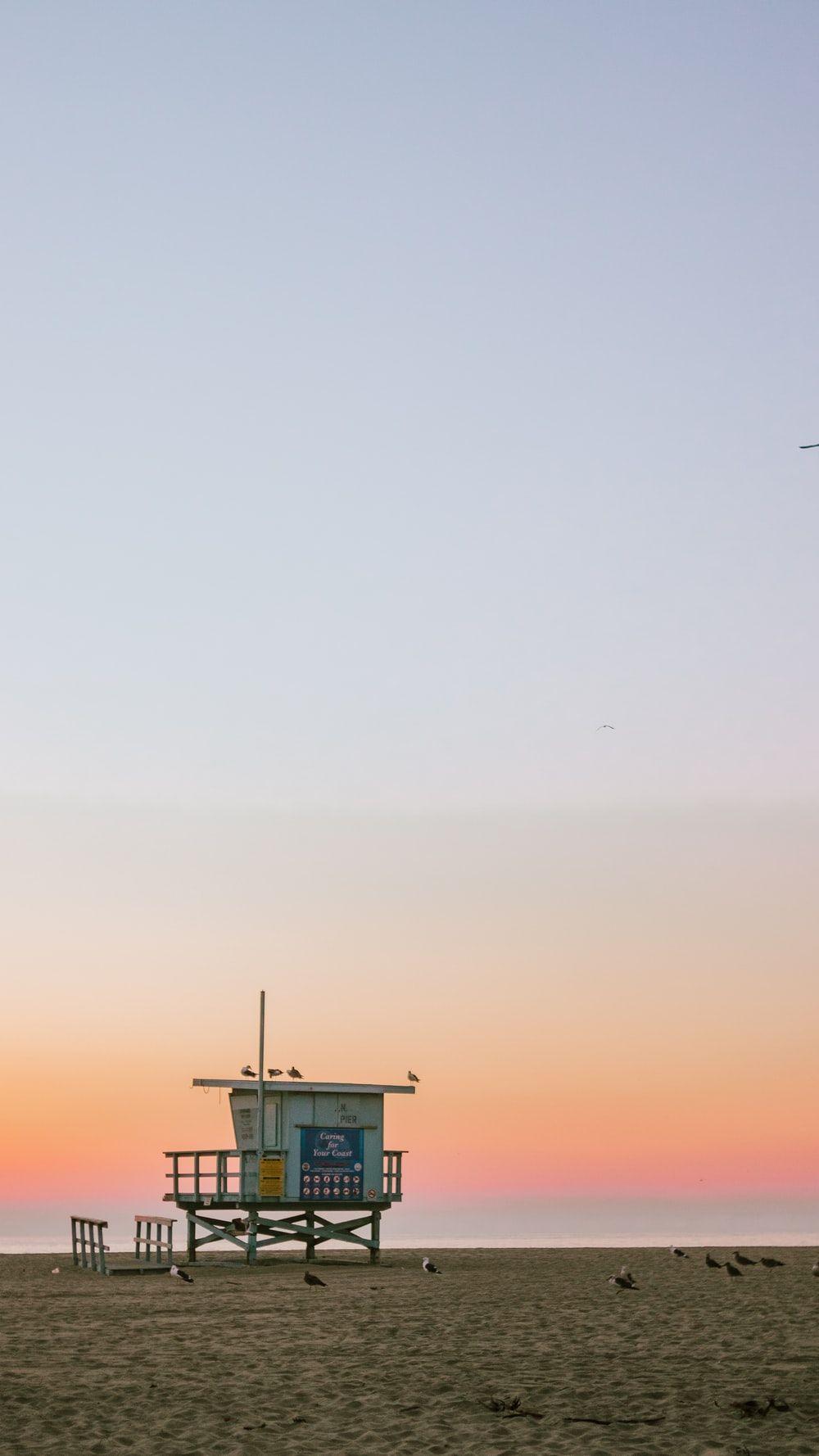 1000x1778 Beautiful Venice Beach Picture. Download Free Image