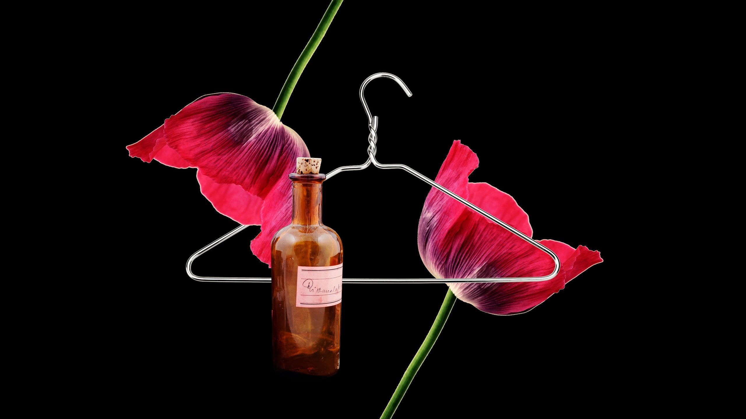 2560x1440 How We Did DIY Abortions Before Roe v