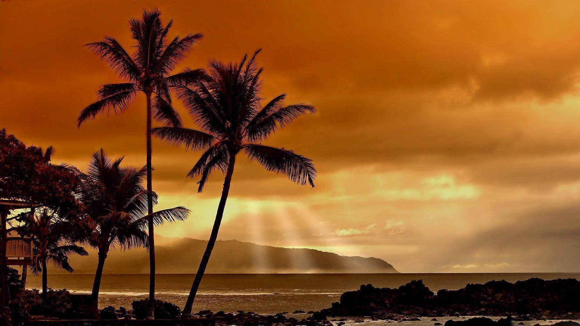 1920x1080 Hawaii Sunset Wallpaper background picture