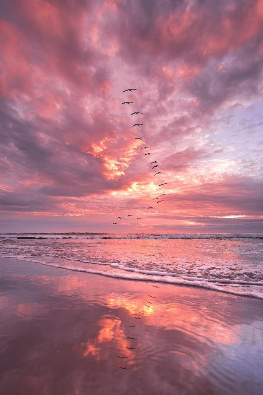 899x1349 lsleofskye: “Laguna Beach, California. connorrrmorris