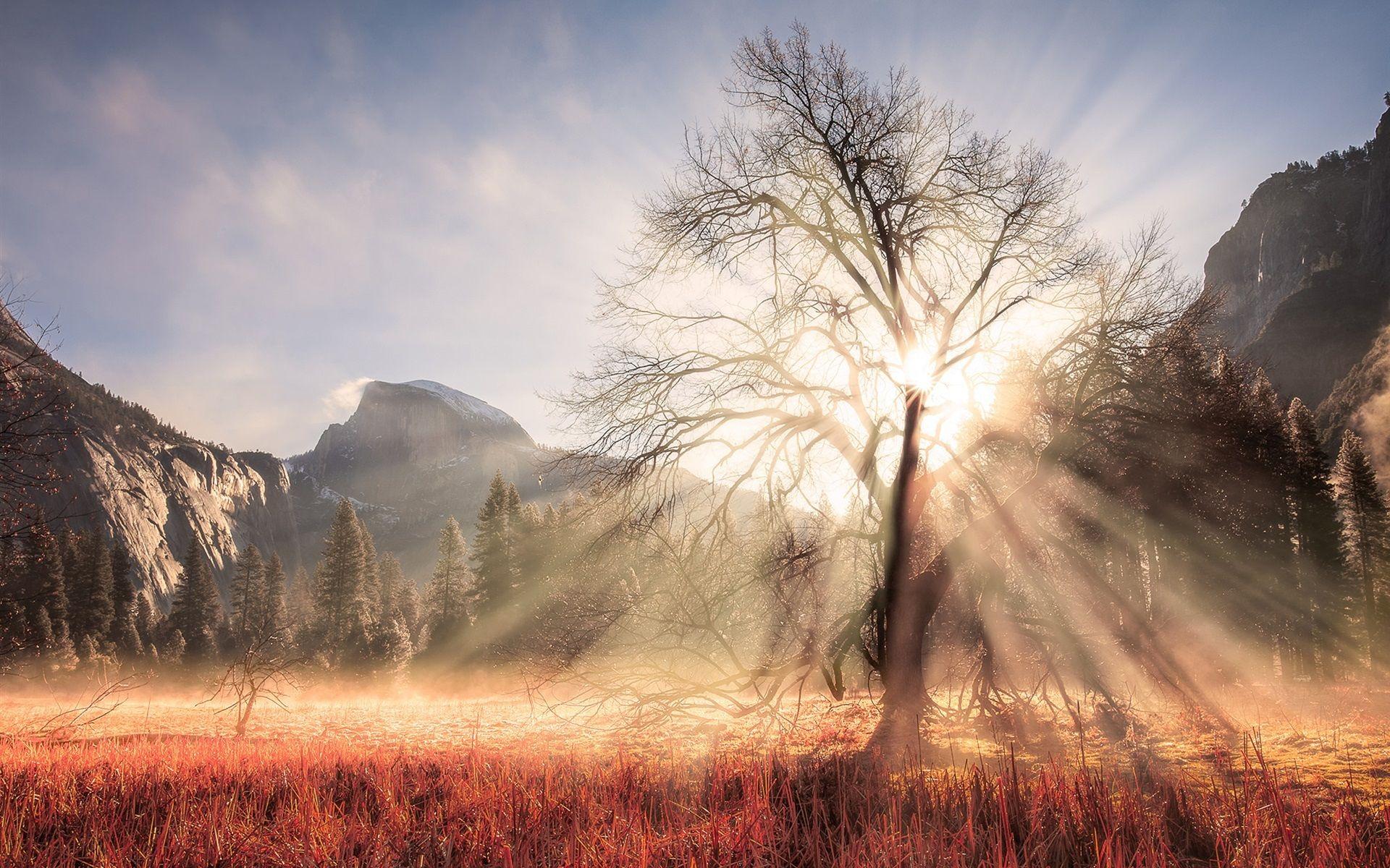 1920x1200 USA, California, Yosemite National Park .