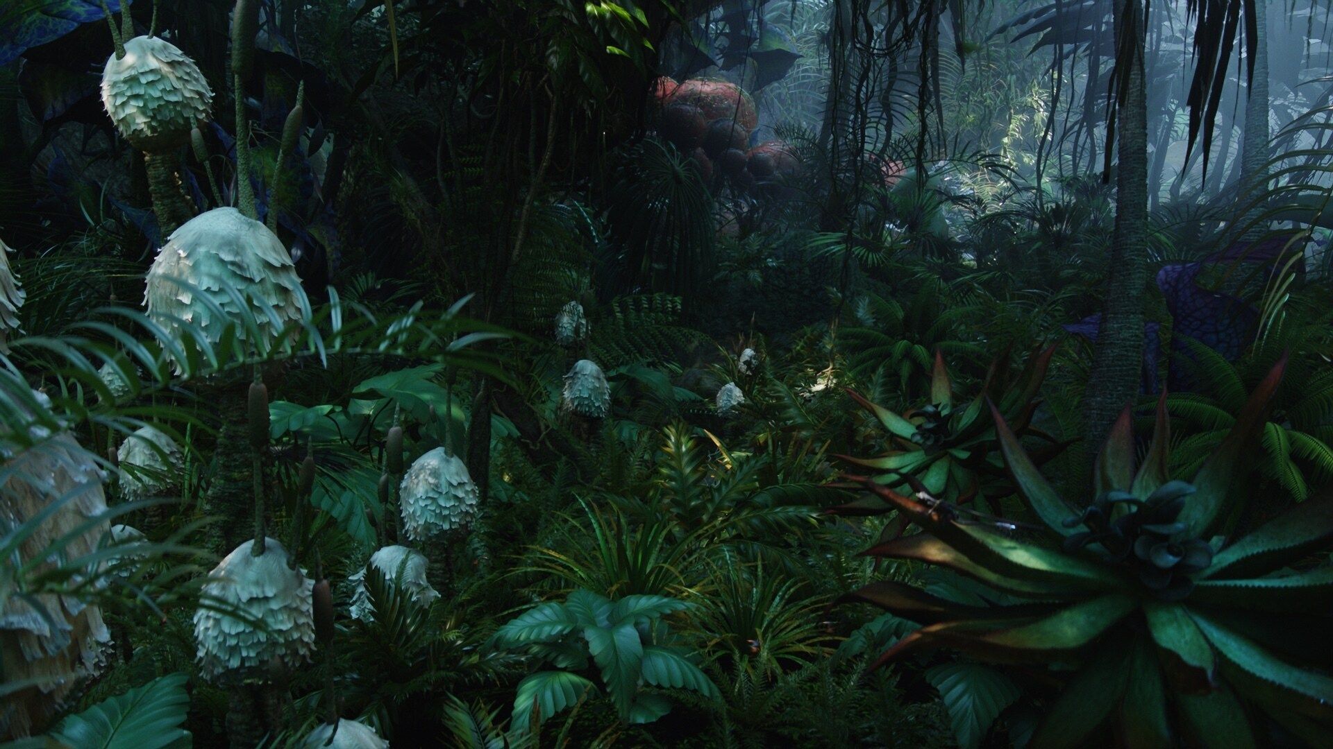 Avatar Forest Wallpapers - Top Free Avatar Forest Backgrounds ...