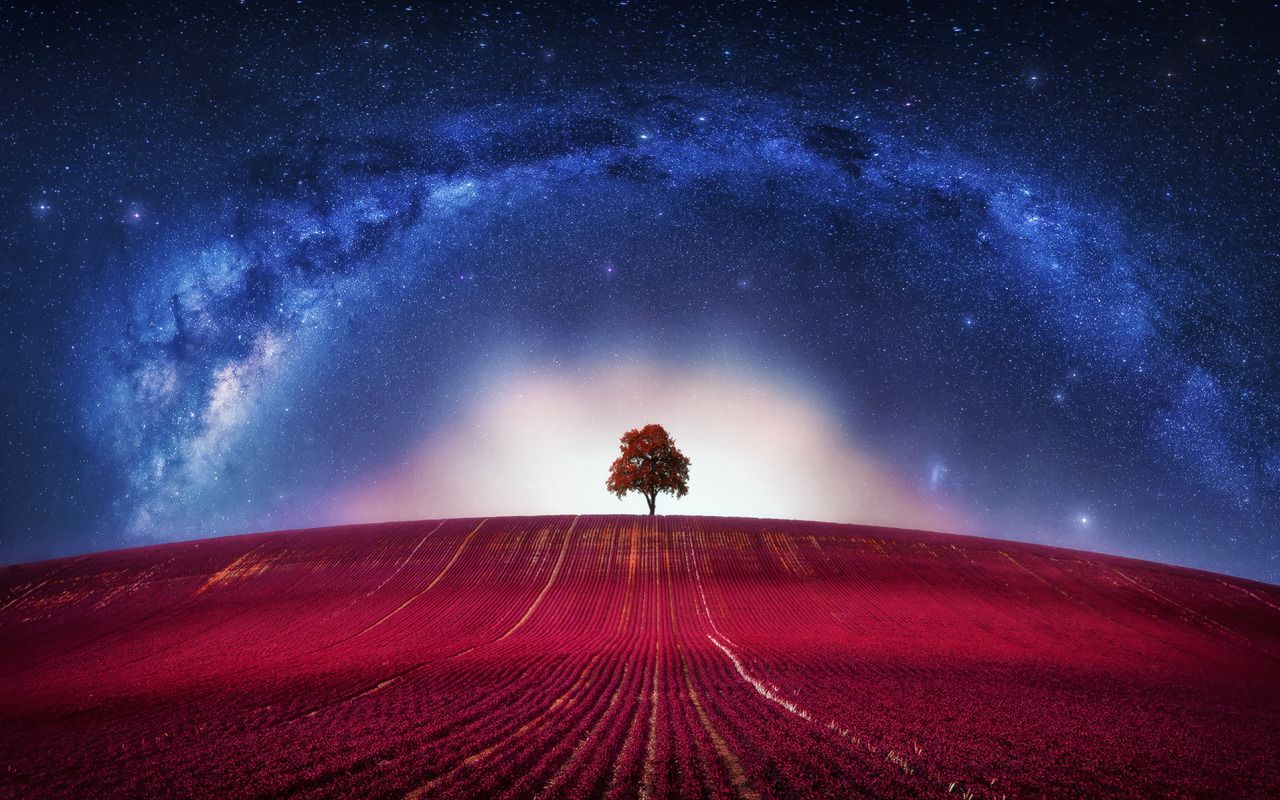 1280x800 Download wallpaper Fantasy, Avatar