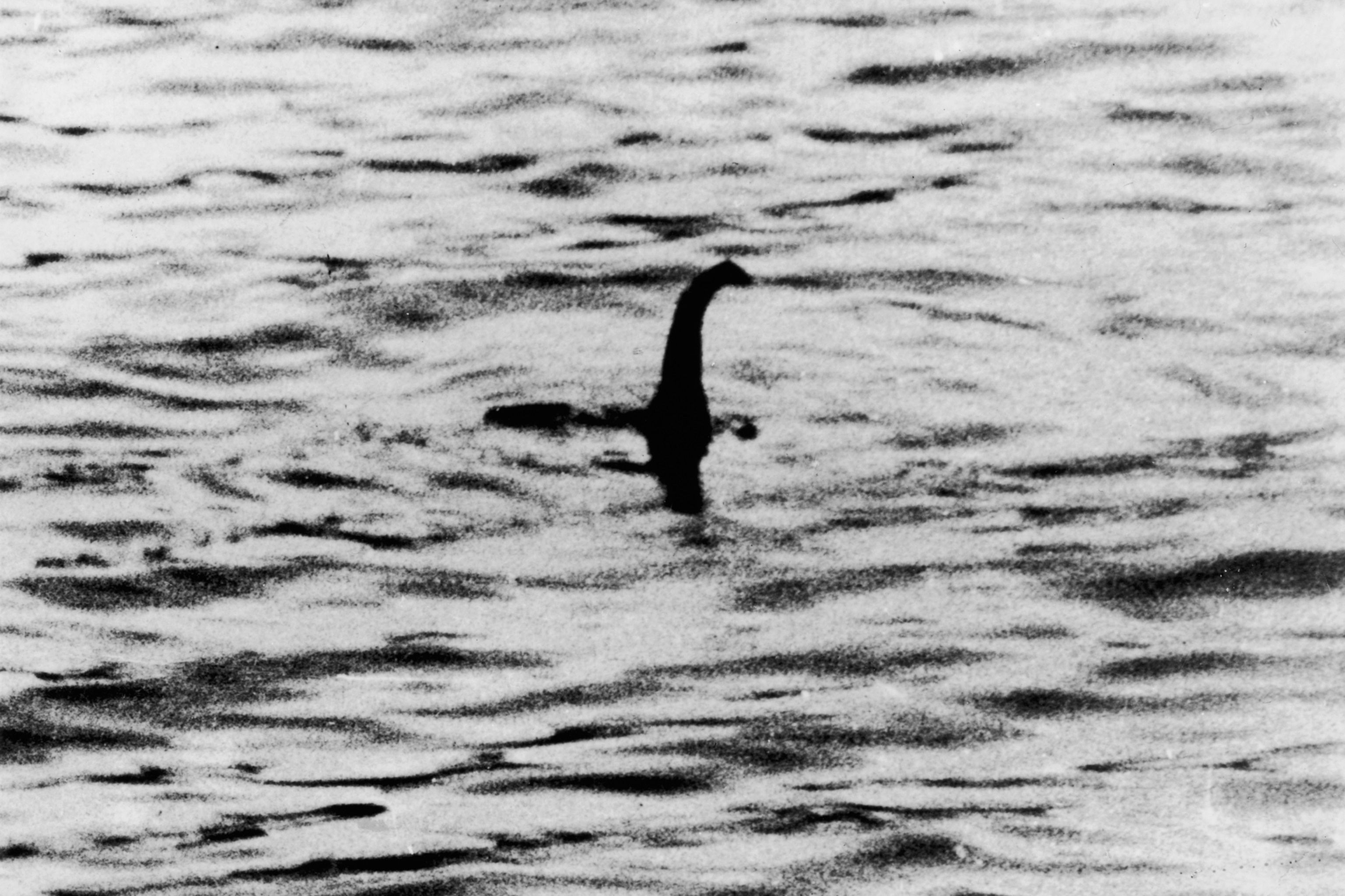 3072x2048 How Nessie and the Yeti birthed a