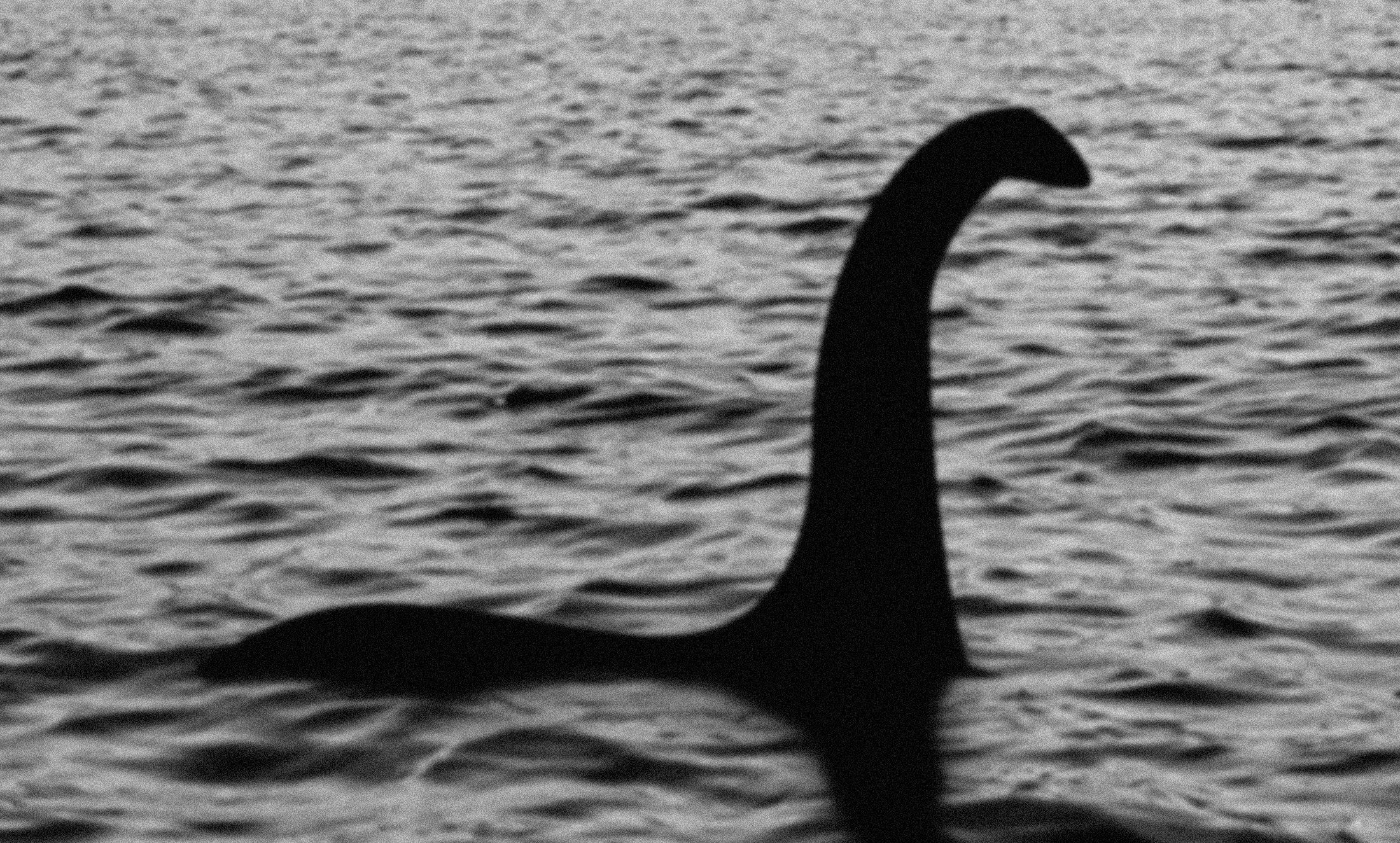 2200x1325 Loch Ness 'monster' might be giant eel