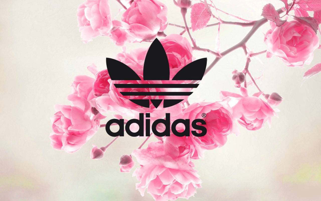 Pink Adidas Logo Wallpapers Top Free Pink Adidas Logo Backgrounds Wallpaperaccess