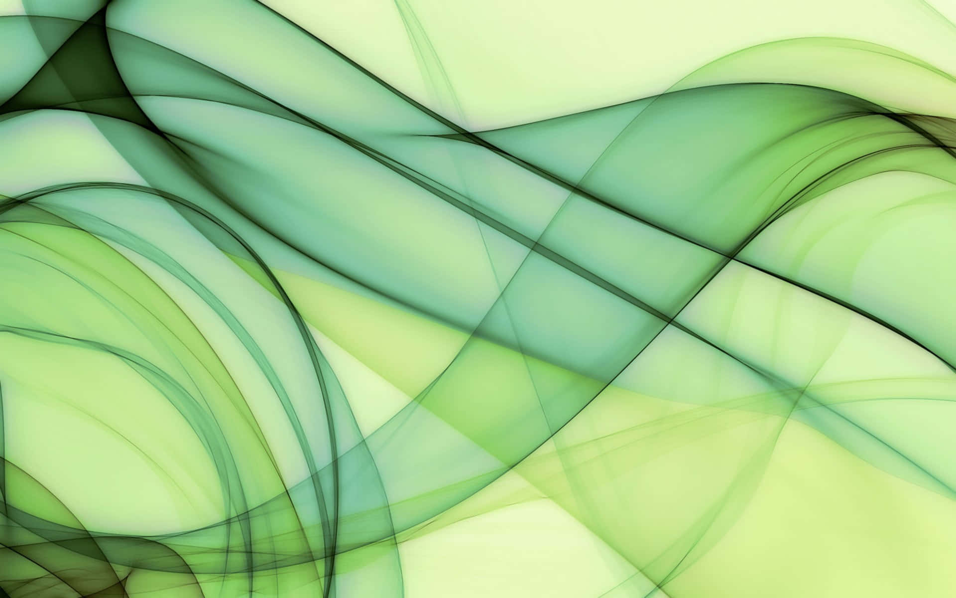 1920x1200 Elegant Greenery Texture Background