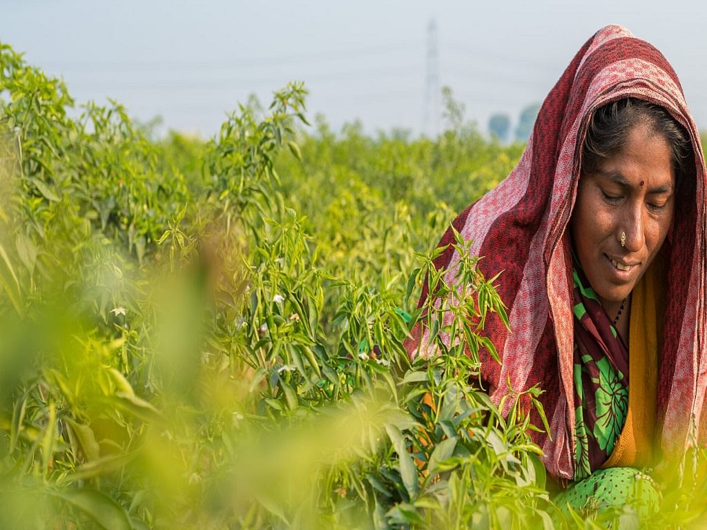 1024x768 Pradhan Mantri Kisan Maan Dhan Yojana