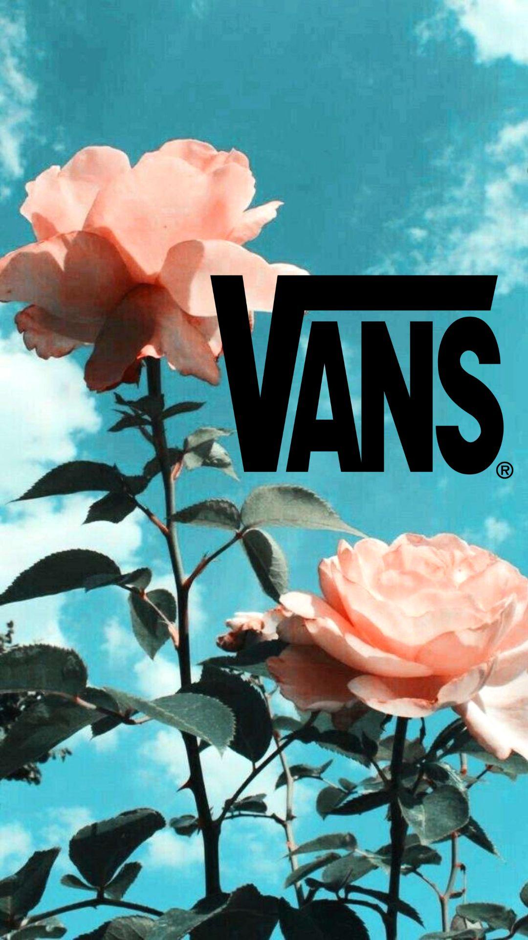 Vans Rose Wallpapers - Top Free Vans 