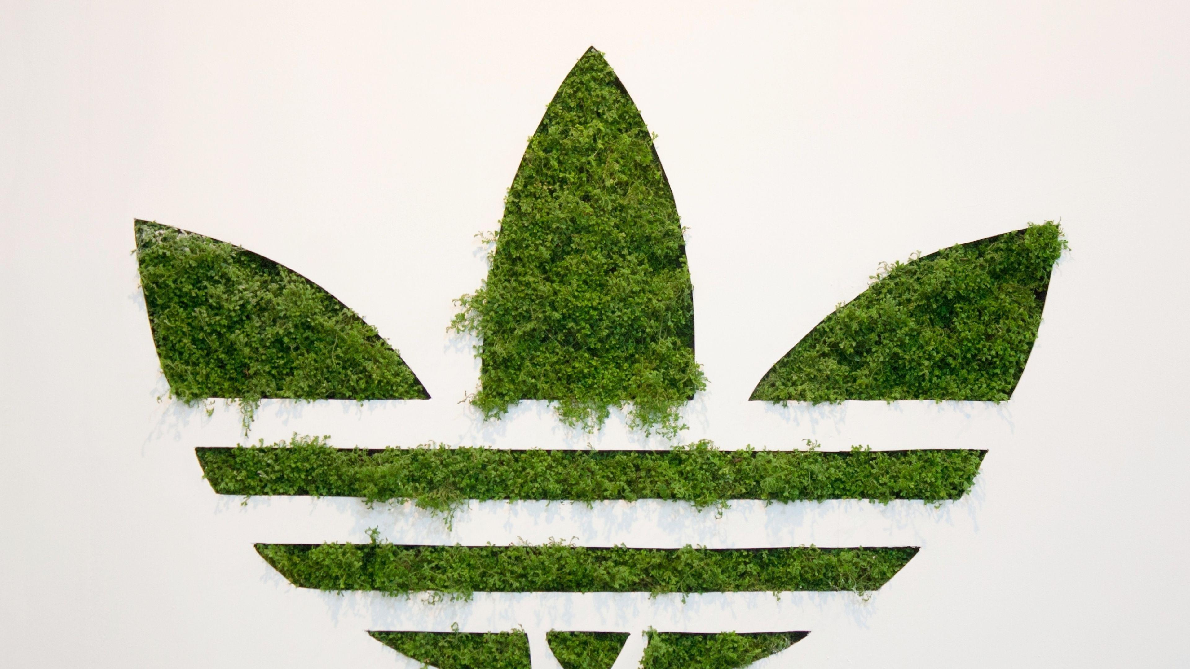 3840x2160 Adidas Grass Logo, HD Logo, 4k Wallpaper, Image