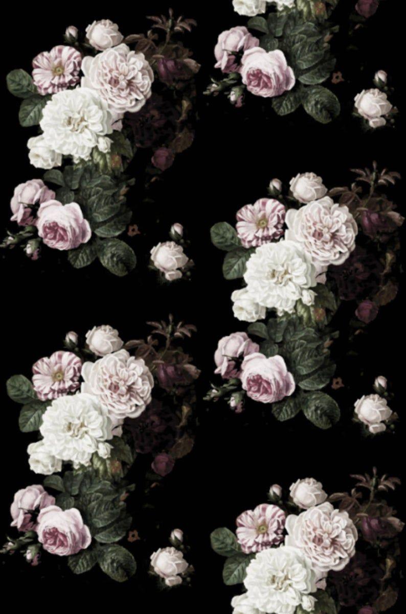 Black Vintage Rose Wallpapers - Top Free Black Vintage Rose Backgrounds -  WallpaperAccess